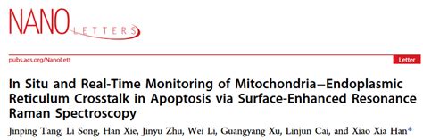 《nano Letters》刊发我室韩晓霞教授团队关于“表面增强共振拉曼光谱实时监测细胞凋亡中线粒体 内质网串扰”研究进展 吉大超分子结构与