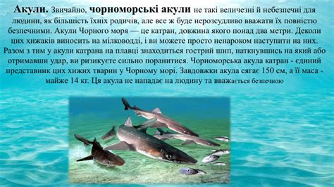Конференція " День Чорного моря"