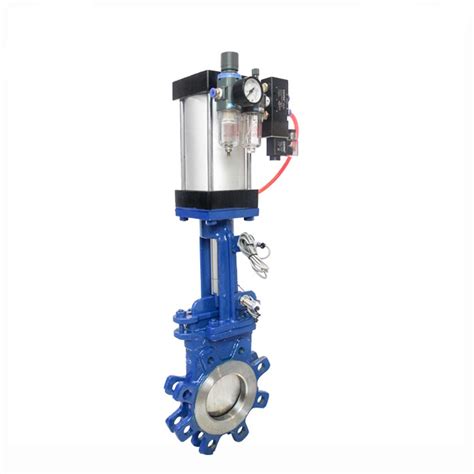 Ss 316 Pneumatic Cylinder Linear Actuator Knife Edge Gate Valve