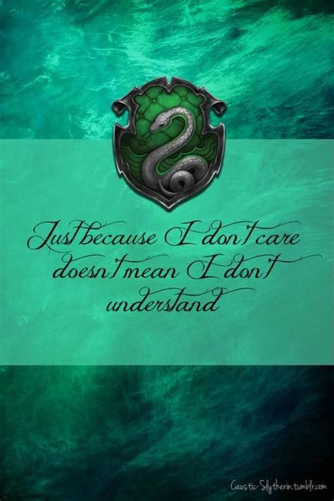 Just Becouse I Dont Care Doesnt Mean I Dont Understand Slytherin