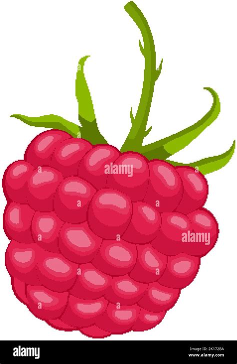 Raspberry Berry Cartoon Vector Illustration Stock Vector Image Art