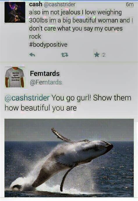 Whale Hello There The Top Whale Memes That Will Make You Laugh