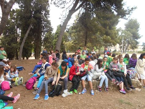 Visita La T Rraco Romana Escola Joan Maragall