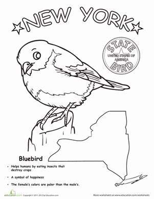 New York State Bird Coloring Page Coloring Pages