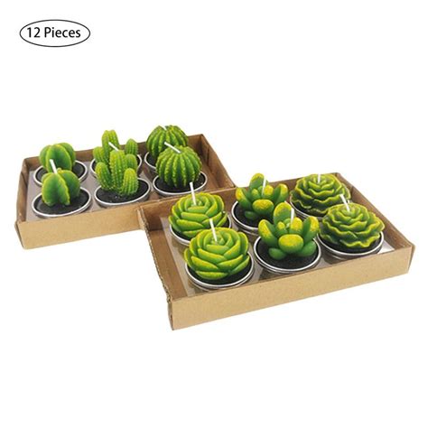 Lot de 12 Bougies cactus La lumière Bougies Bougeoirs MUM Déco