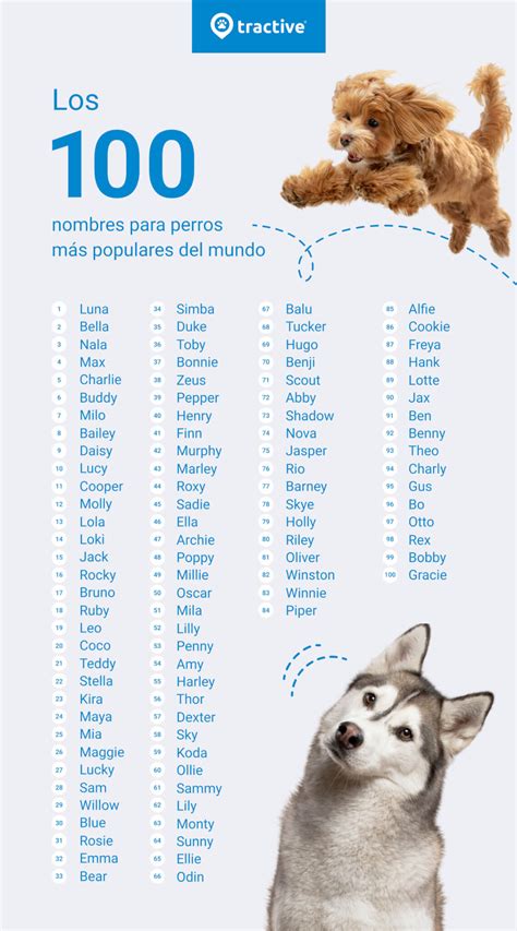 Descubre los nombres para perro más populares Tractive