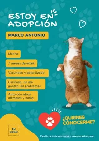 Plantillas De Curr Culums Para Perros O Gatos