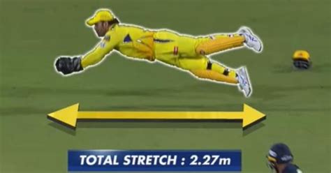 MS Dhoni Takes Memorable Catch in IPL Clash | Perigon