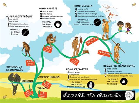 Frise chronologique sur lévolution de lhomme réalisée pour le