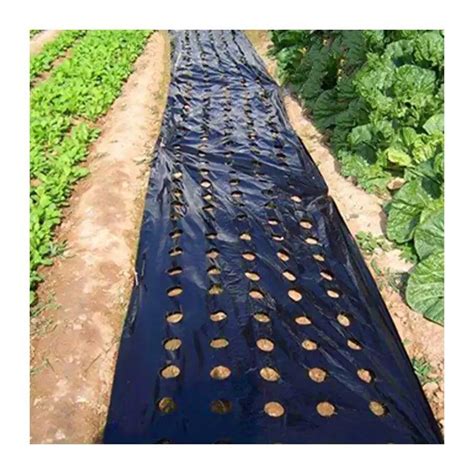 Mircon Biodegradable Mulching Film Agricultural Plastic Mulch Film