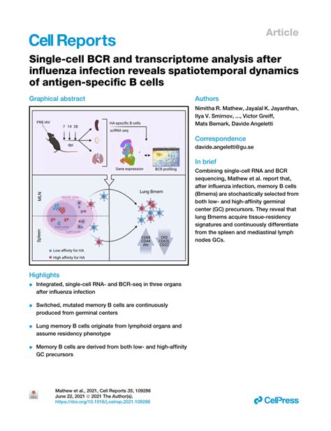 Pdf Article Single Cell Bcr And Transcriptome Analysis After