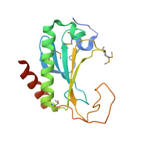 RCSB PDB 2OIK Crystal Structure Of A Histidine Triad Hit Protein