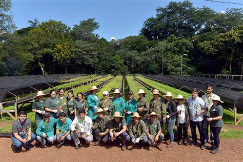 Vivero forestal produjo más de 900 mil mudas ITAIPU BINACIONAL