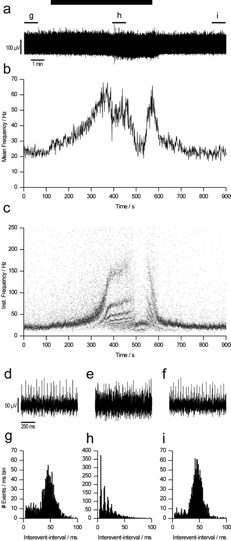 A I Regular Spiking Ame Neurons Are Synchronized To The Same Phase And