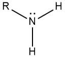 Amino Functional Group | ChemTalk