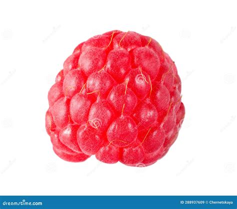 One Tasty Ripe Raspberry Isolated On White Stock Image Image Of Tasty