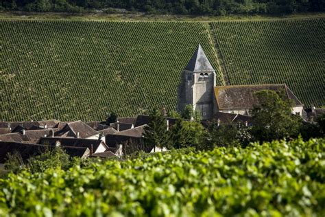 Dbr Lafite En Pourparlers Avec Le Domaine Art Mis Pour Acheter Le