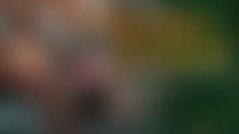 Orgy Porn Clips For Sale Orgy C S