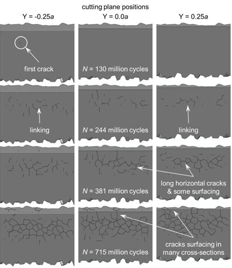 Evolution Of Sub Surface Crack Patterns At Various Transverse Planes Download Scientific