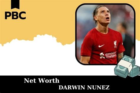 Darwin Núñez Net Worth 2025: Salary, Wealth & Financial Overview