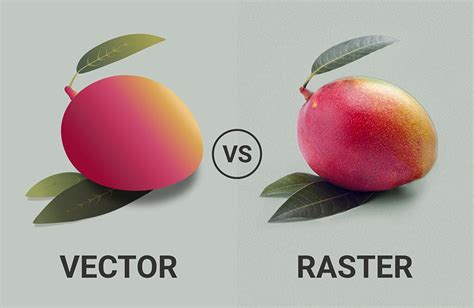 Studying The Difference Between Vector And Raster Images Pepper Content