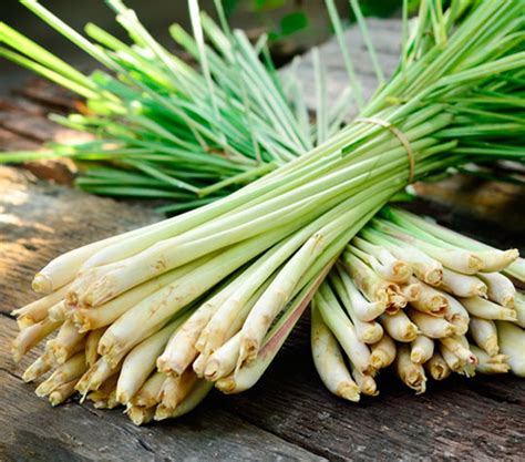 Surprising Health Benefits Of Lemongrass That You Should Know