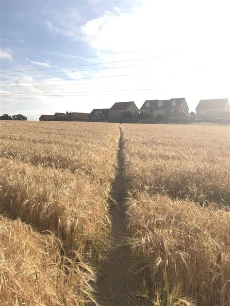 Best Suffolk Uk Images On Pholder Casual UK Gardening And Amateur Room Porn