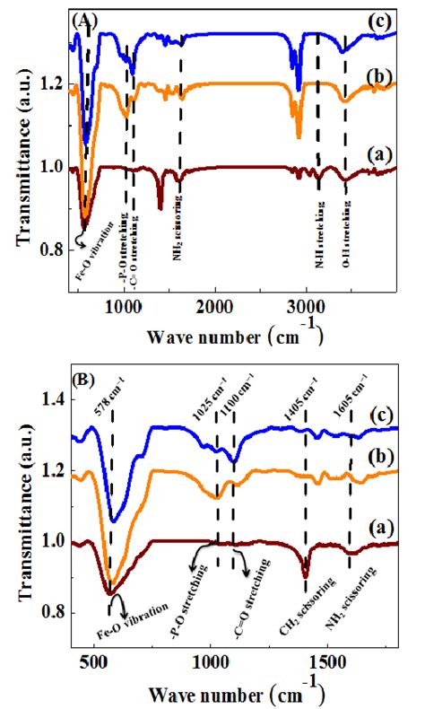 Fig S A A B And C Represents The Ftir Spectra Of Oam Oa And Topo