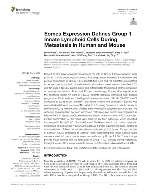 PDF Eomes Expression Defines Group 1 Innate Lymphoid Cells During