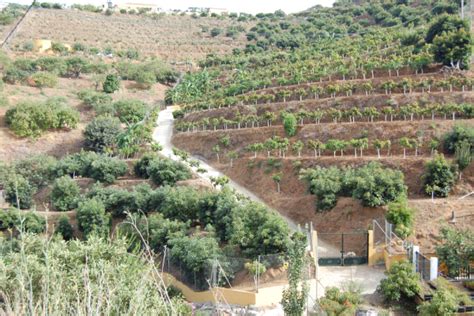 Finca El Pinero Official Andalusia Tourism Website