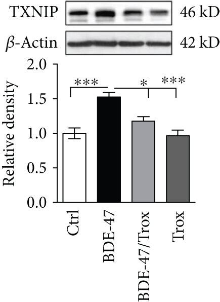 Troxerutin Inhibited Txnip And Ameliorated Kidney Function In Bde