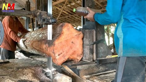 Wujud Asli Kayu Mahoni Kampung Setelah Di Proses Di Penggergajian Kayu