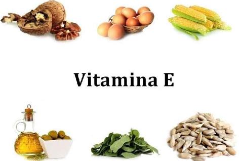 Vitamina E Alimentos E Benef Cios