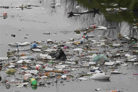 Retiran Toneladas De Basura De R Os Grupo Milenio