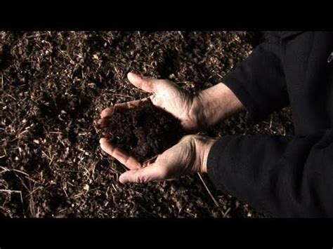 Un Fertilisant Naturel Plus Efficace Que Les Engrais Chimiques Le