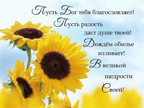 Подсолнухи | Христианские цитаты, Вдохновляющие жизненные цитаты ...