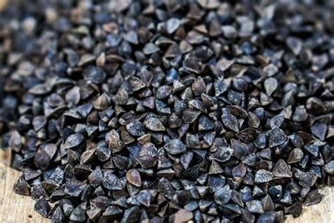 Buckwheat Flour — Deep Roots Milling