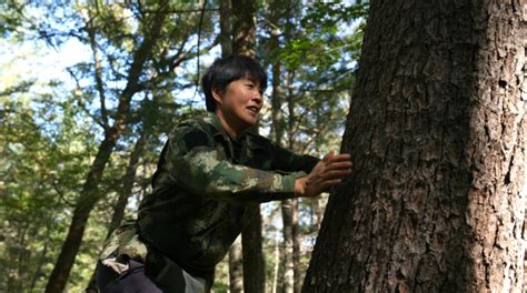 央视镜头聚焦安图 三农群英汇栏目组采访吉林省唯一女性跑山人 中国吉林网