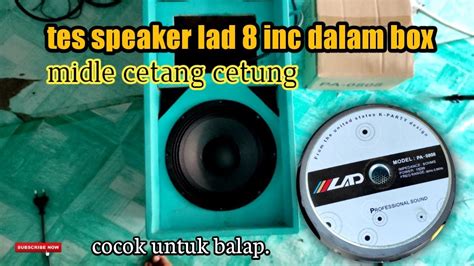 Tes Speaker LAD 8 Inc PA 0808 Ke Dalam Box Celarity Cetang Cetung Cocok