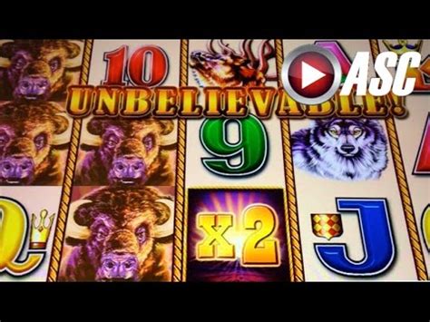 BUFFALO STAMPEDE | Aristocrat - NICE Win! Slot Machine Bonus - YouTube