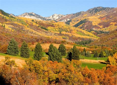 Wasatch Mountain State Park Mountain Course Heber Valley