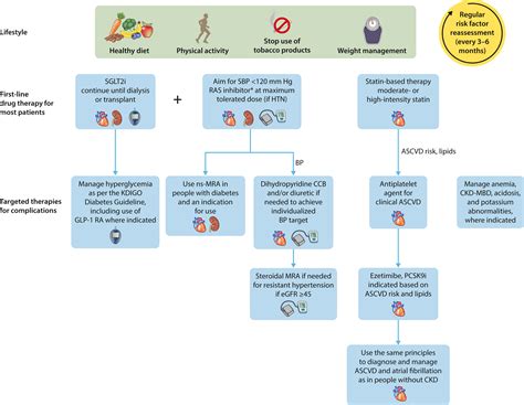 Executive Summary Of The Kdigo 2024 Clinical Practice Guideline For The Evaluation And