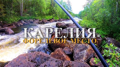 КАРЕЛИЯ 2023 нашли ФОРЕЛЕВОЕ МЕСТО || РЫБАЛКА на ГОРНОЙ РЕКЕ ...