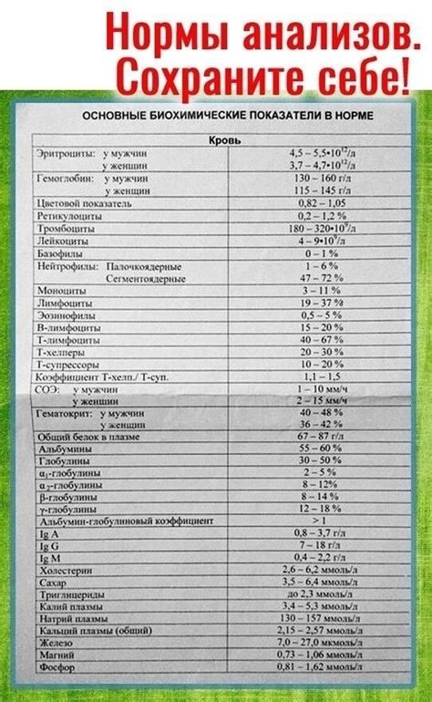 Новости | Здоровье, Лечение, Домашнее лечение