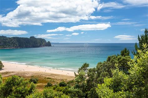 Praia Nova Zel Ndia Coromandel De Hot Springs Imagem De Stock Imagem