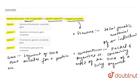 Identify The Correct Order Of Organisation Of Genetic Material From