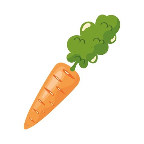 Free Vector Fresh Carrot Vegetable