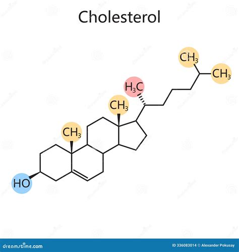 Cholesterol Molecular Structure Chemical Diagram Stock Illustration