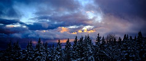 Snowy Trees Wallpaper 4K, Winter, Cloudy Sky, Dusk, Scenic