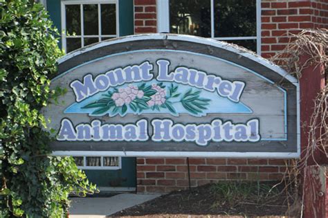 Mount Laurel Animal Hospital - See-Inside Veterinarian, Mt Laurel, NJ ...